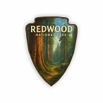 Redwood National Park Ultra-Realistic Scene  Sticker (Peel N' Stick)